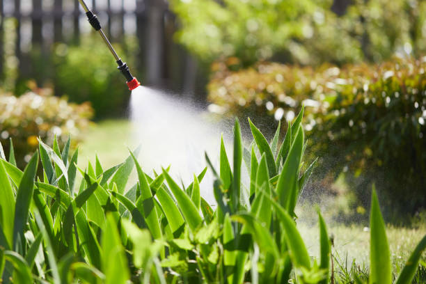 24/7 Emergency Mosquito Control experts in Miami Heights, OH